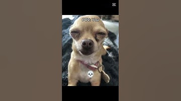 Squint your eyes: #shorts #trustonallah