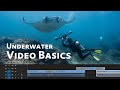 Underwater Video Basics