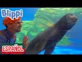 🐟 Canción del acuario 🐟 | Canciones para niños | Canciones educativas