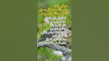 #أحاديث نبوية شريفة #أذكار #أدعية #آيات #سنة الله ورسوله صلى الله عليه وسلم