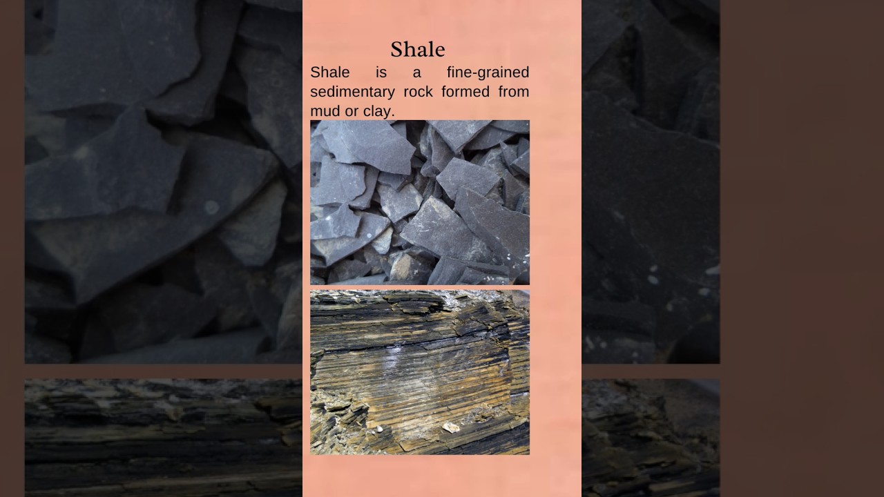 Shale 