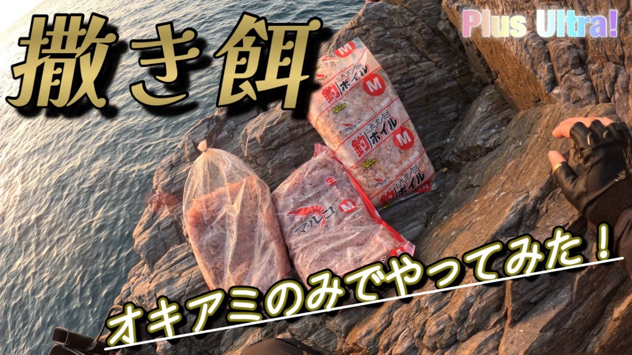 【フカセ釣り】検証、集魚材混ぜずにオキアミだけで釣る！ #磯釣り #ウキ釣り 