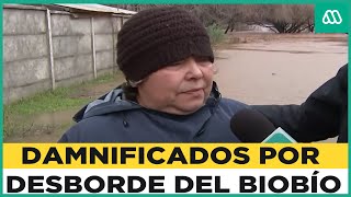 “Me importaba sacar mis animales”: Estremecedor relato de damnificada por desborde del Biobío