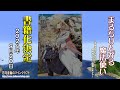 【Minecraft】 方向音痴のマインクラフト 特別編 「まるちりんがる魔法使い　書籍化決定！」【ゆっくり実況】