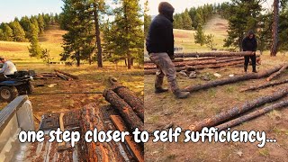 Building Raised Garden Beds From Ponderosa Pine Logs | Off Grid Living