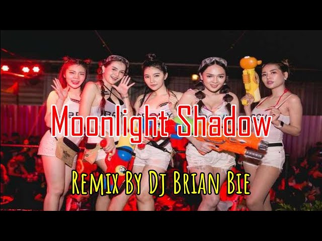 Moonlight Shadow (Electro Manyao) By Dj Brian Bie #remixmanyao #dj抖音版2024 #dj抖音版2023 class=