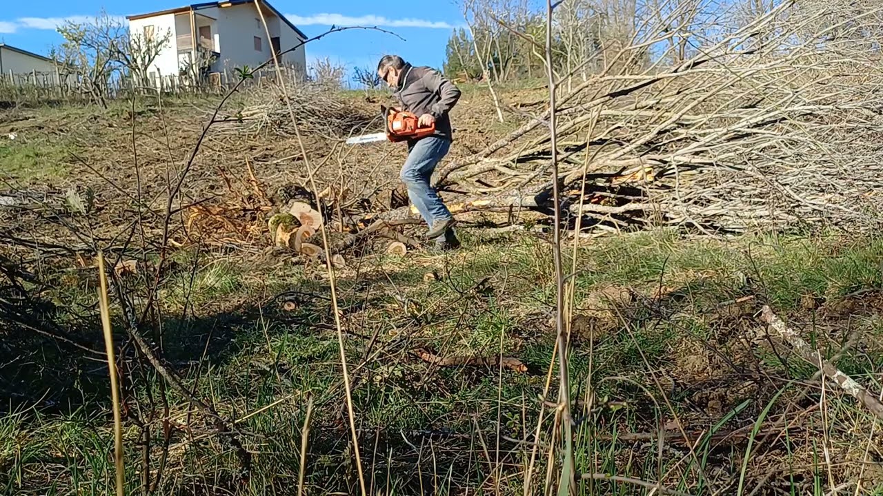 @francescotito6661 si proseguono i lavori 🐦‍⬛