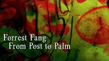 Forrest Fang: From Post to Palm (excerpt)