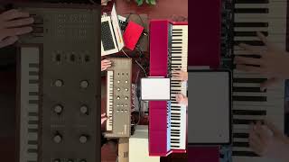 An excerpt from "Undulations" by Cor Karoli