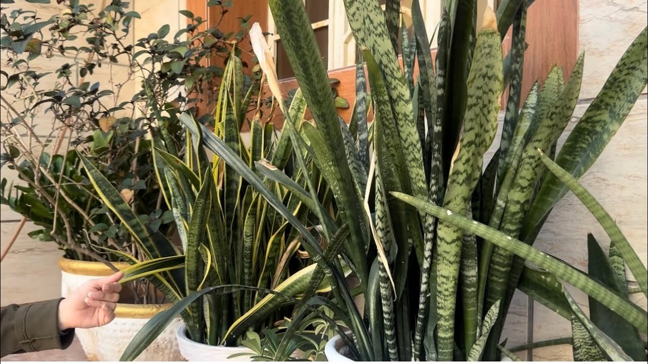 صبح جمعه دل انگیز و گفتگو با دوستان