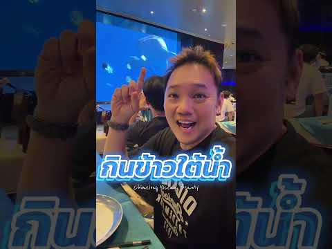 รีวิวกินข้าวใต้น้ำกับฉลามวาฬ ที่ จูไห่ ฉางหลง