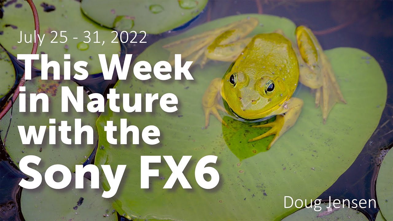 Sony FX6:  This Week In Nature (4K)