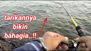 mancing ikan cucut di pinggiran laut batam