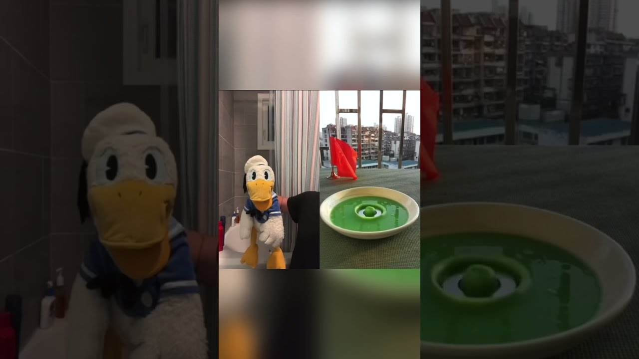 It’s too perfect 😁😂 Donald Ducc 