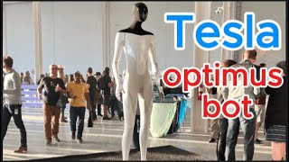 How fast can the Tesla Bot run?, Can Tesla Optimus talk and perform routine tasks?