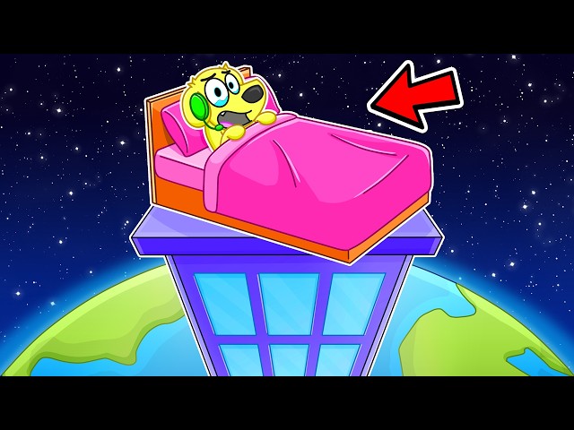 HOW DID I WAKE UP HERE?!