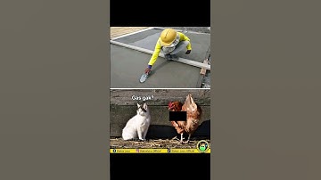 Meme internet lucu #shorts #memeindonesia #meme #memefb  #memesdaily #funny #funnyvideo #memerandom