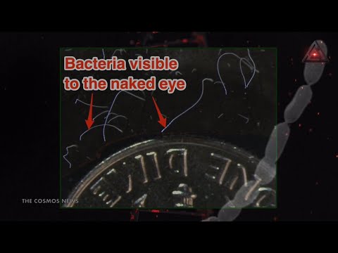 Newly Discovered Giant