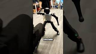 Ten ROBOT zaatakował CZŁOWIEKA..😳