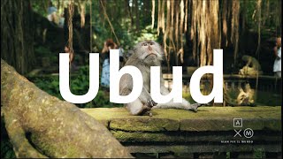 Ubud la capital cultural de Bali 4K | Alan x el mundo