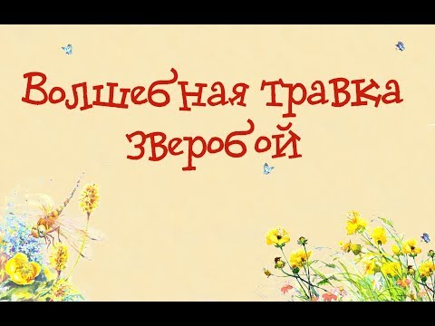 Мультфильм волшебная травка зверобой