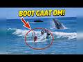 BOOT SLAAT OM! Tussen gigantische walvissen