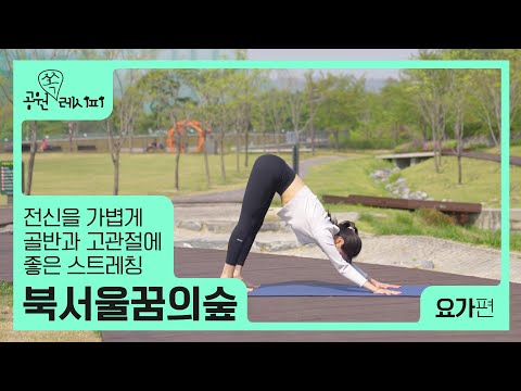 공원에서 하기 좋은 데일리 요가 | 공원 쏙 레시피