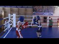 В Новгороді-Сіверському проходить відкритий чемпіонат міста з боксу