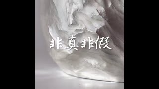 201407 非真非假31555