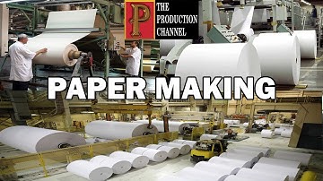 Billion Tonnes Of Paper A Year | Paper Made in Factory | Paper Making | The Production Channel