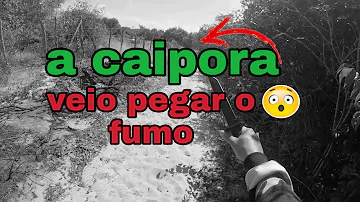 Como chama a caipora?