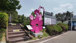 [4K] Korea Expressway Manghyang Rest Area 한국 고속도로 망향슈게소 by 코리아워커 South Korea walker_4K 86 views 3 days ago 11 minutes, 48 seconds