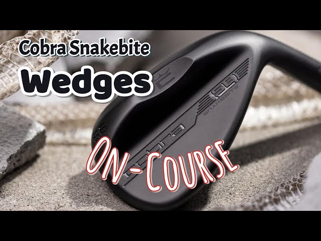 クラブ cobra SNAKEBITE 50-08/ DG 10 R300/ IR001 クラブ cobra SNAKEBITE 50-08/ DG 10 R300/ IR001 Cheap Cobra