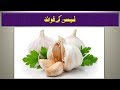 Garlic benefits for health