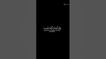 أفلا ينظرون إلى الابل كيف خلقت القارئ عبدالرحمن مسعد