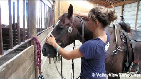 KualLittleLena - Kooper  ***For info, price, etc., go to our website***  Valley View Ranch