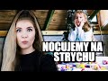 Nocujemy na strychu  otwieramy nowe kookyloos  i szukamy skarbw