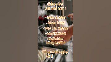 Máy Rửa Bát Có Tốn Chi Phí Không? #mayruabat #giamayruabat #mayruachen #xuhuong #short