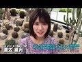 「STU48 第2期生オーディション最終審査〜少女の夢の扉を開けるのはアナタだ!〜」候補者38番 渡辺菜月 自撮りPR動画 / STU48 [公式]