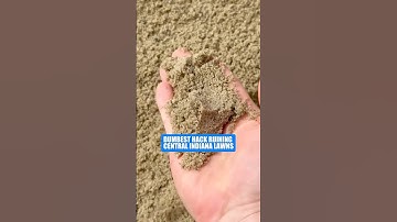 Stop Using Sand on Clay Lawns ❌ Do This Instead #shorts