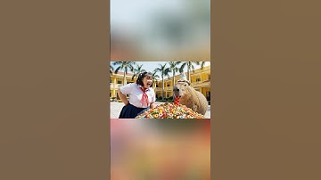 Hùng trọc giúp capybara thắng mai béo ăn kẹo dẻo và cái kết #capybara #shorts