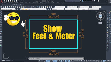 How to set both dimension feet and meter on one drawing in AutoCAD