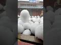 Extreme Weather Alert 🚨 Car-Size Hailstones Everywhere