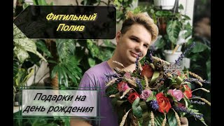 ПОДАРКИ НА ДЕНЬ РОЖДЕНИЯ/ Фитильный полив// Мой ответ Хейтерам