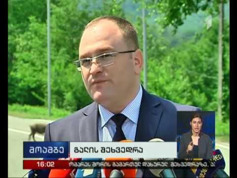 ოთხოზორიას მკვლელობაში ბრალდებულის დაკავების შესახებ ინფორმაცია