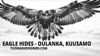 Golden eagle hides - Oulanka, Kuusamo // Maakotka kojulla Kuusamossa