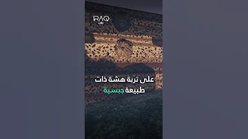 سد الموصل أخطر سدود العالم 