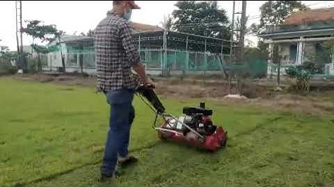Máy Cắt Cỏ Sân Bóng Đá Đẩy Tay
