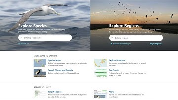 eBird - and what it means in L.A. | Birding Tools & Resources