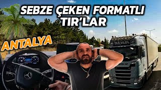 SEBZE SEZONU AÇILDI ! / Tır'cı Meslektaşlarıma Kuymak Yaptım / ANTALYA-TRABZON JET SEBZE SEFERİ...